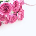 【幸せの花言葉42選】愛・感謝・希望が伝わる!プレゼントにおすすめの花