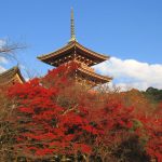 京都の旅が10倍楽しくなる豆知識!歴史・文化・グルメの雑学