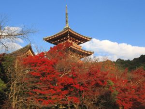 京都の旅が10倍楽しくなる豆知識!歴史・文化・グルメの雑学