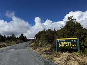 ニュージーランド文化を徹底解説!マオリとキウイが共存する魅力とは