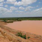 ケニアの文化まとめ！伝統や習慣、有名料理などをわかりやすく紹介