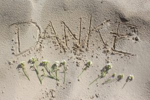 ドイツ語のおしゃれな単語やフレーズ!使い方の例をかんたんに紹介