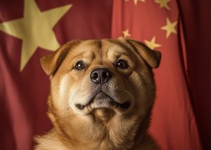 中国で人気の犬の名前は？ユニークなフルネームまでトレンドを解説